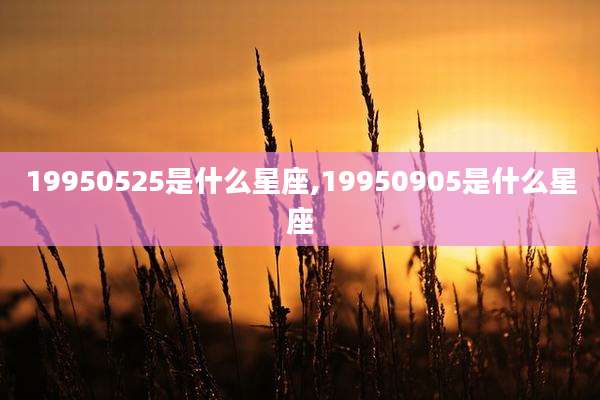 19950525是什么星座,19950905是什么星座