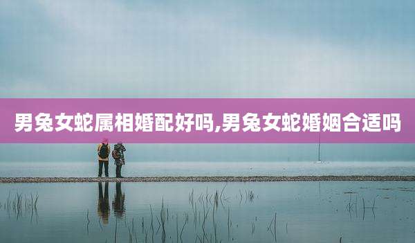 男兔女蛇属相婚配好吗,男兔女蛇婚姻合适吗