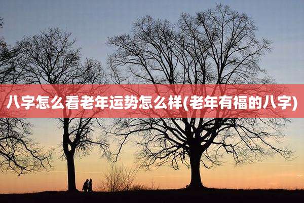 八字怎么看老年运势怎么样(老年有福的八字)