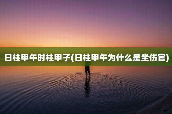 日柱甲午时柱甲子(日柱甲午为什么是坐伤官)