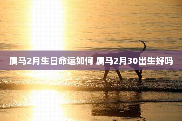 属马2月生日命运如何 属马2月30出生好吗
