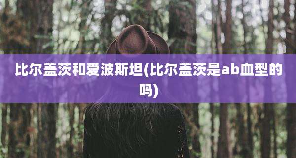 比尔盖茨和爱波斯坦(比尔盖茨是ab血型的吗)