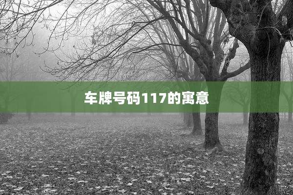 车牌号码117的寓意