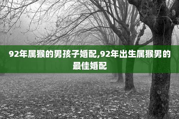 92年属猴的男孩子婚配,92年出生属猴男的最佳婚配