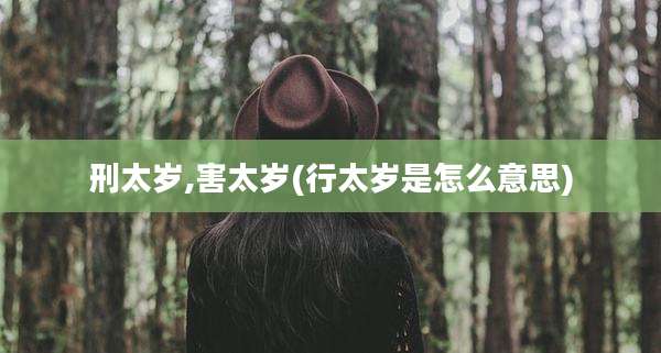 刑太岁,害太岁(行太岁是怎么意思)