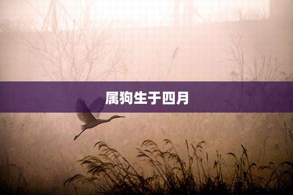 属狗生于四月