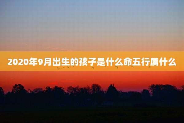 2020年9月出生的孩子是什么命五行属什么