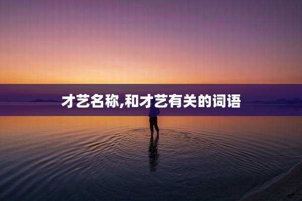 才艺名称,和才艺有关的词语