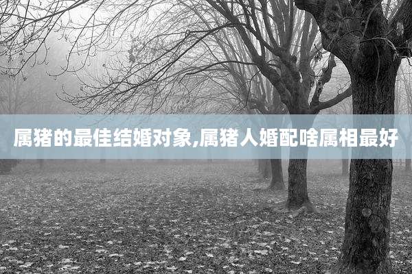属猪的最佳结婚对象,属猪人婚配啥属相最好