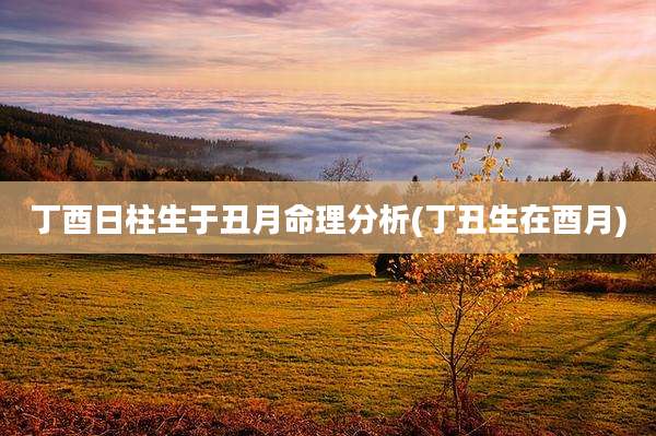 丁酉日柱生于丑月命理分析(丁丑生在酉月)