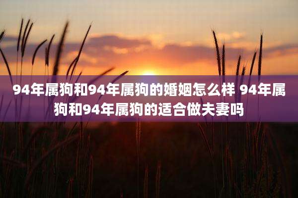 94年属狗和94年属狗的婚姻怎么样 94年属狗和94年属狗的适合做夫妻吗