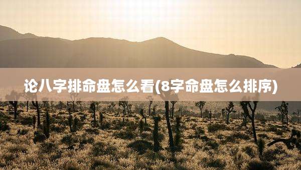 论八字排命盘怎么看(8字命盘怎么排序)
