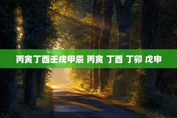 丙寅丁酉壬戌甲辰 丙寅 丁酉 丁卯 戊申