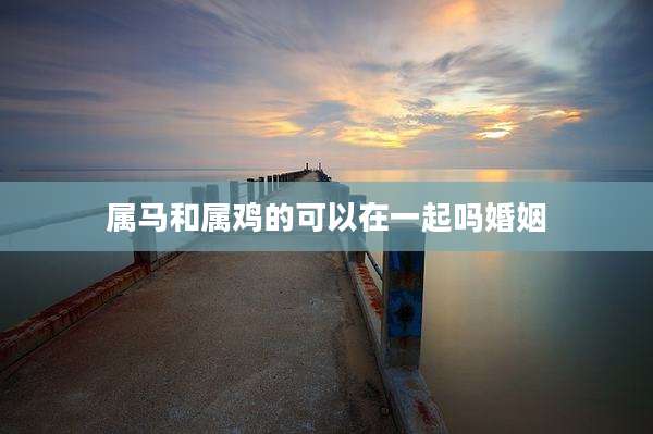 属马和属鸡的可以在一起吗婚姻