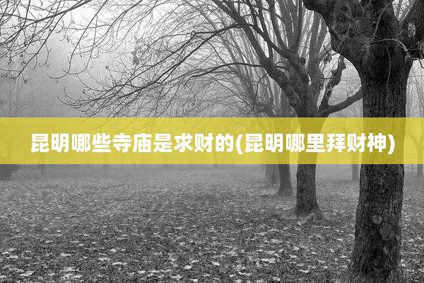 昆明哪些寺庙是求财的(昆明哪里拜财神)