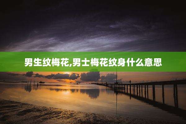 男生纹梅花,男士梅花纹身什么意思