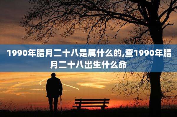 1990年腊月二十八是属什么的,查1990年腊月二十八出生什么命