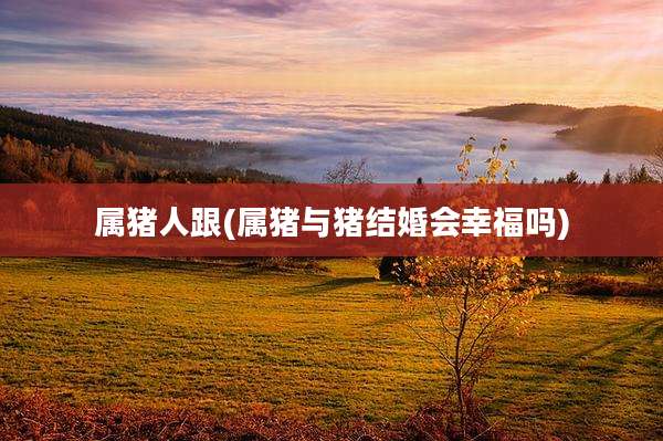 属猪人跟(属猪与猪结婚会幸福吗)