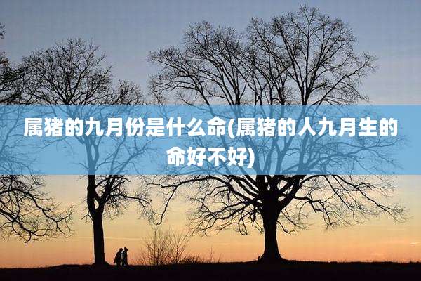 属猪的九月份是什么命(属猪的人九月生的命好不好)