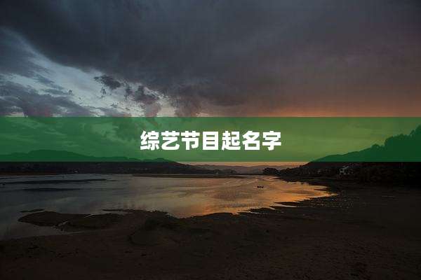 综艺节目起名字