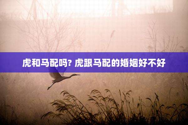 虎和马配吗? 虎跟马配的婚姻好不好