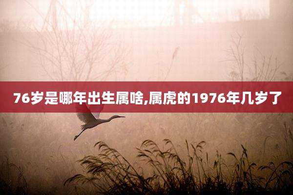 76岁是哪年出生属啥,属虎的1976年几岁了