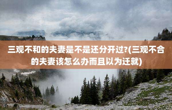 三观不和的夫妻是不是还分开过?(三观不合的夫妻该怎么办而且以为迁就)