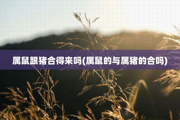 属鼠跟猪合得来吗(属鼠的与属猪的合吗)