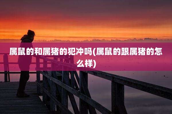 属鼠的和属猪的犯冲吗(属鼠的跟属猪的怎么样)