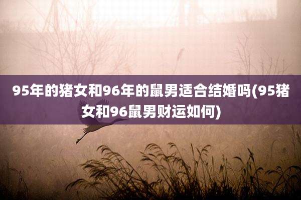 95年的猪女和96年的鼠男适合结婚吗(95猪女和96鼠男财运如何)