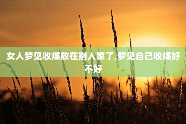 女人梦见收煤放在别人家了,梦见自己收煤好不好