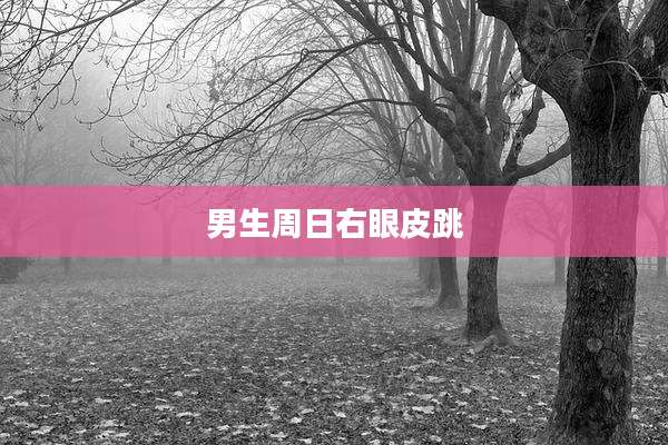 男生周日右眼皮跳