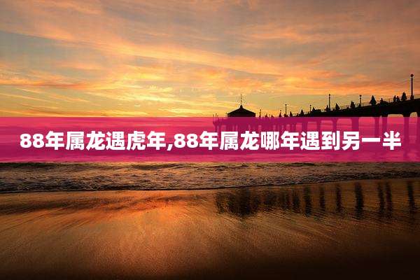 88年属龙遇虎年,88年属龙哪年遇到另一半