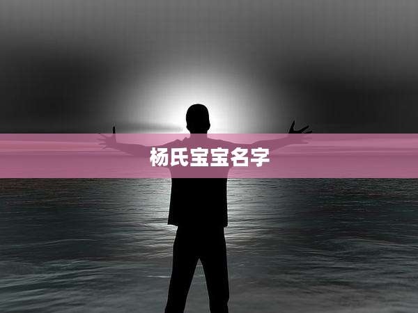 杨氏宝宝名字