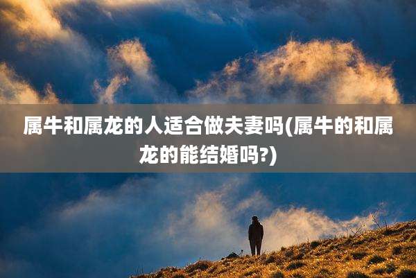 属牛和属龙的人适合做夫妻吗(属牛的和属龙的能结婚吗?)