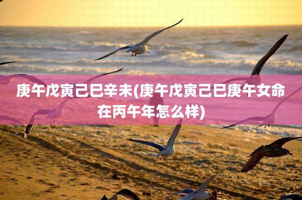 庚午戊寅己巳辛未(庚午戊寅己巳庚午女命在丙午年怎么样)