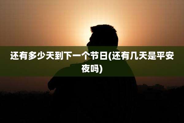 还有多少天到下一个节日(还有几天是平安夜吗)