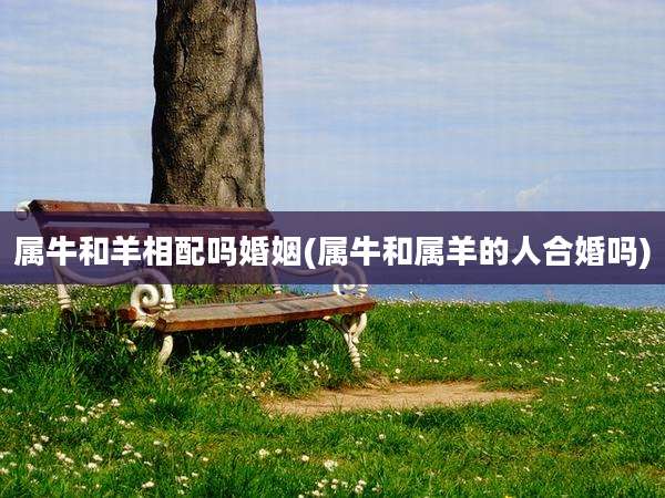 属牛和羊相配吗婚姻(属牛和属羊的人合婚吗)