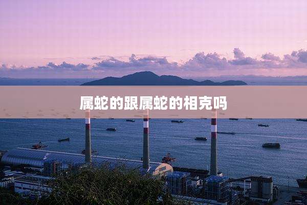 属蛇的跟属蛇的相克吗