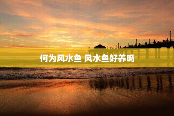 何为风水鱼 风水鱼好养吗