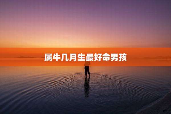 属牛几月生最好命男孩