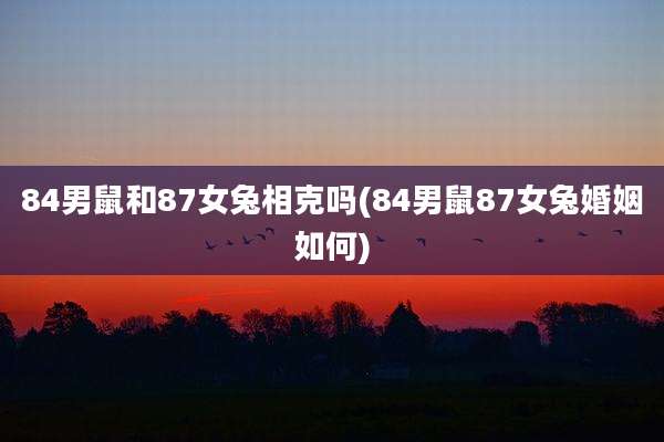 84男鼠和87女兔相克吗(84男鼠87女兔婚姻如何)