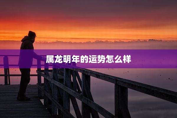 属龙明年的运势怎么样