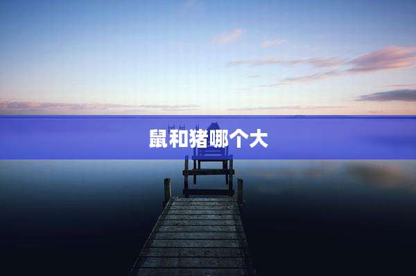 鼠和猪哪个大