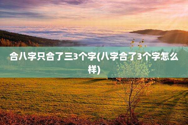 合八字只合了三3个字(八字合了3个字怎么样)