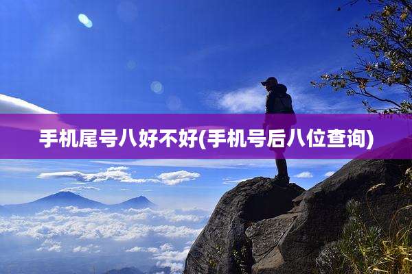 手机尾号八好不好(手机号后八位查询)