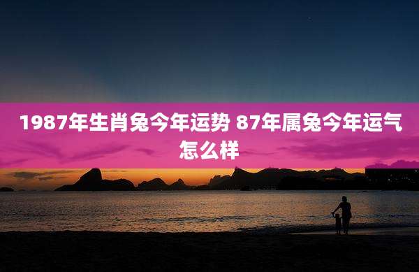 1987年生肖兔今年运势 87年属兔今年运气怎么样