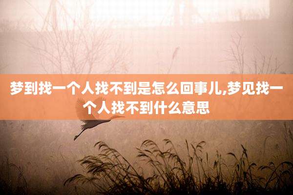 梦到找一个人找不到是怎么回事儿,梦见找一个人找不到什么意思