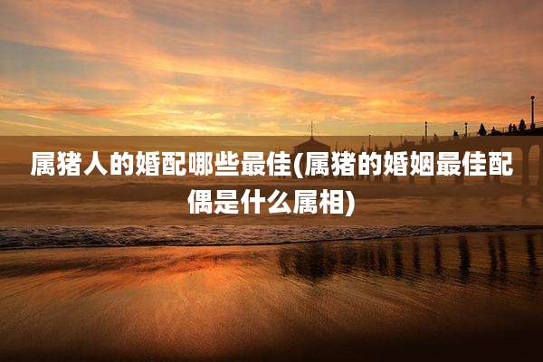 属猪人的婚配哪些最佳(属猪的婚姻最佳配偶是什么属相)