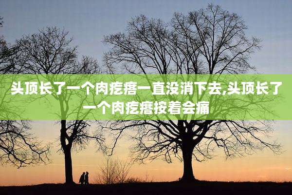 头顶长了一个肉疙瘩一直没消下去,头顶长了一个肉疙瘩按着会痛